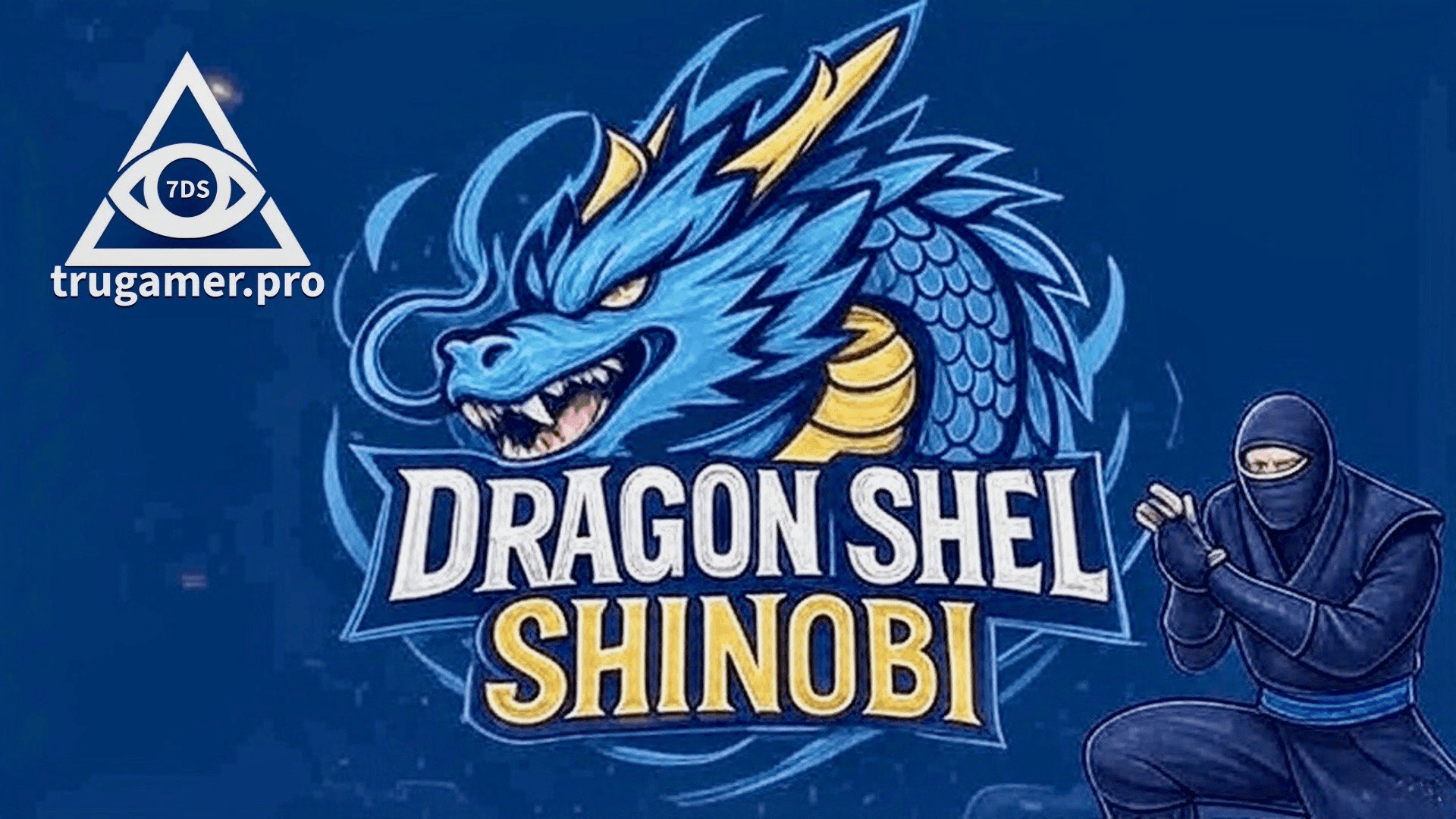 Dragon-Shell Shinobi (DSS): Org Spotlight